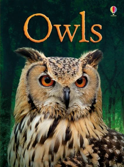 Beginners Owls