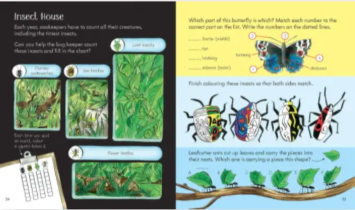 Little children´s Zoo activity book