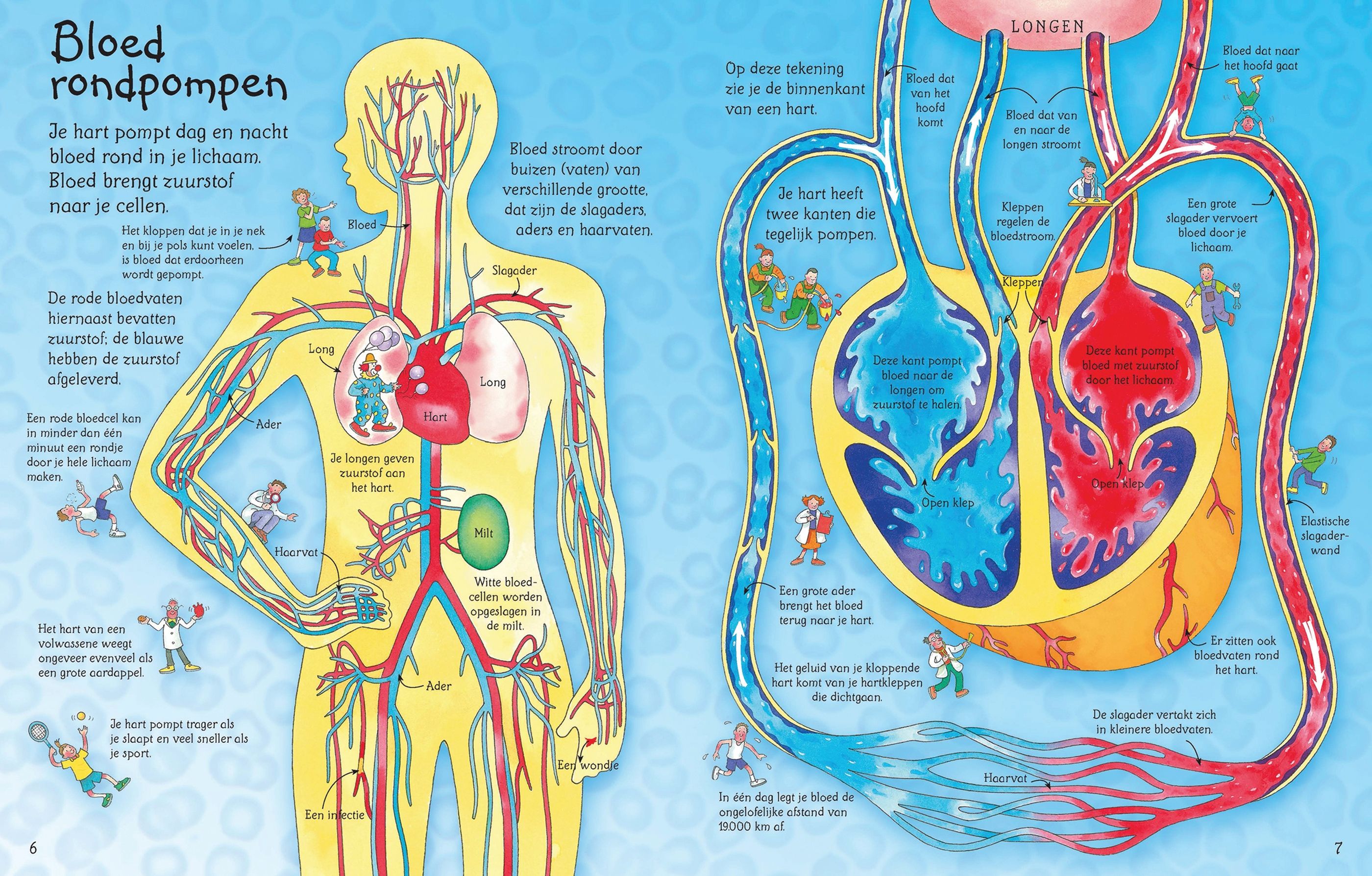 See inside Your body