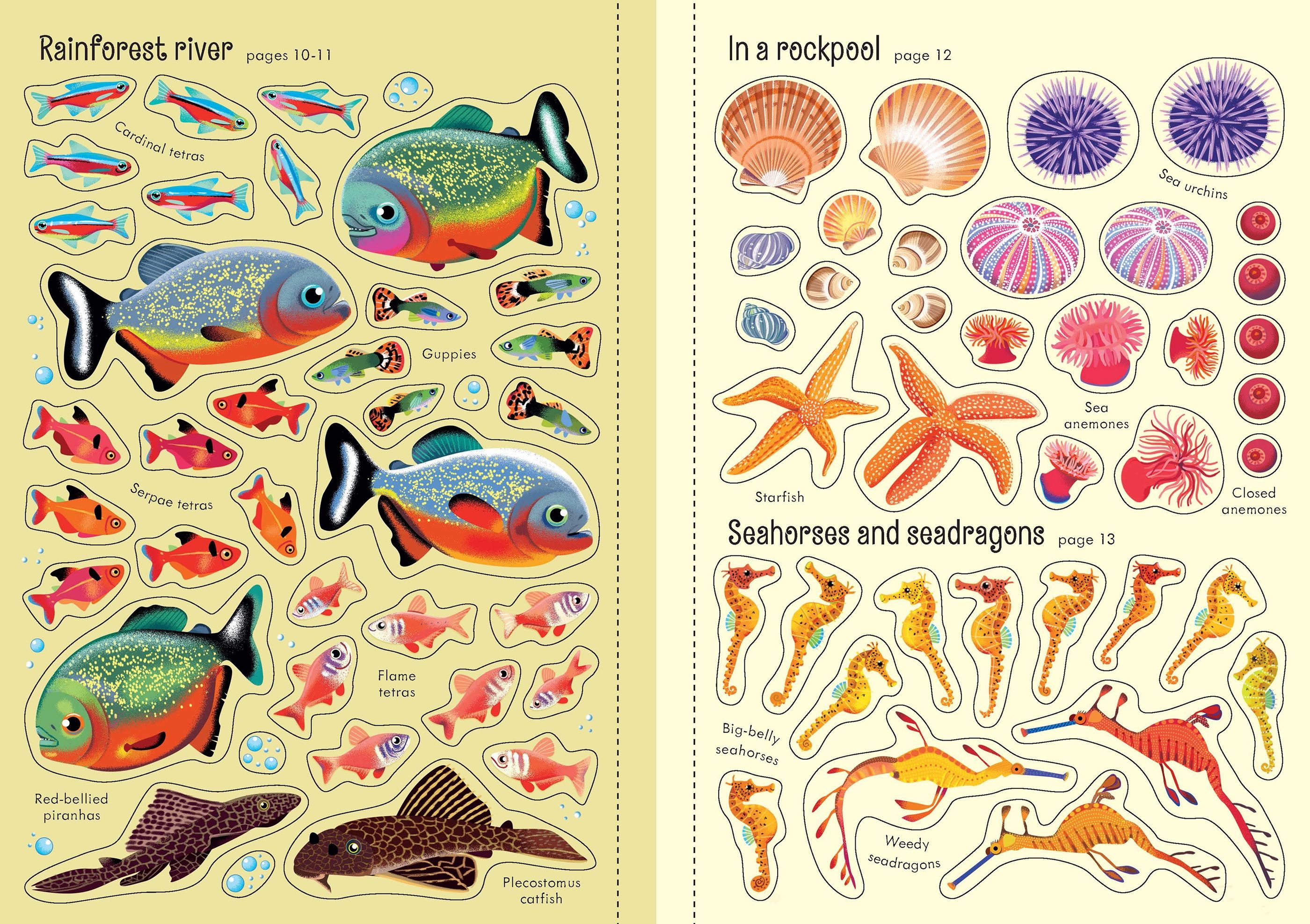 Little first stickers Aquarium