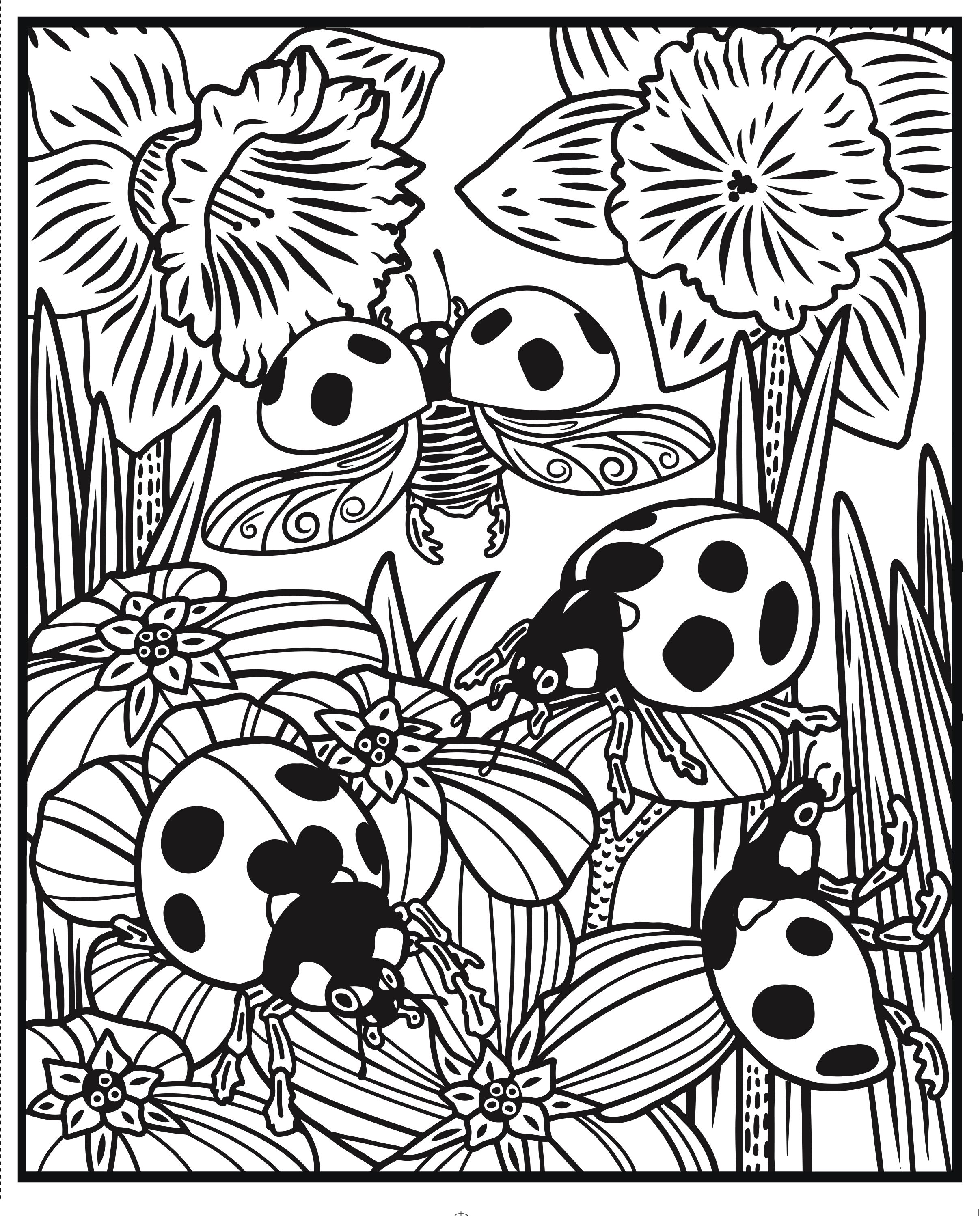 Magic painting book Bugs