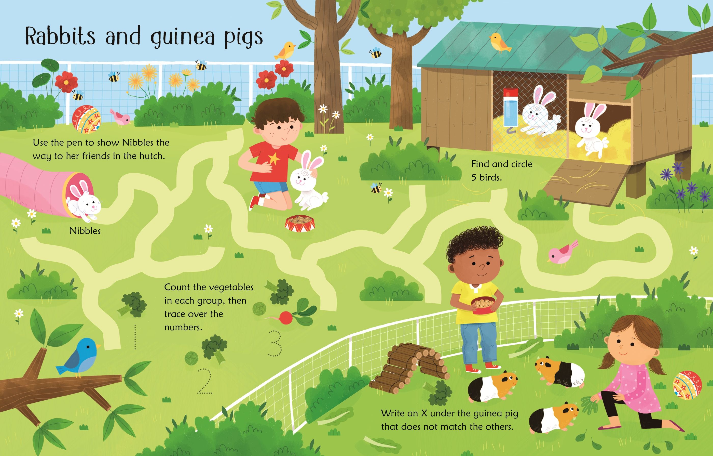 Wipe-clean Pet Activities