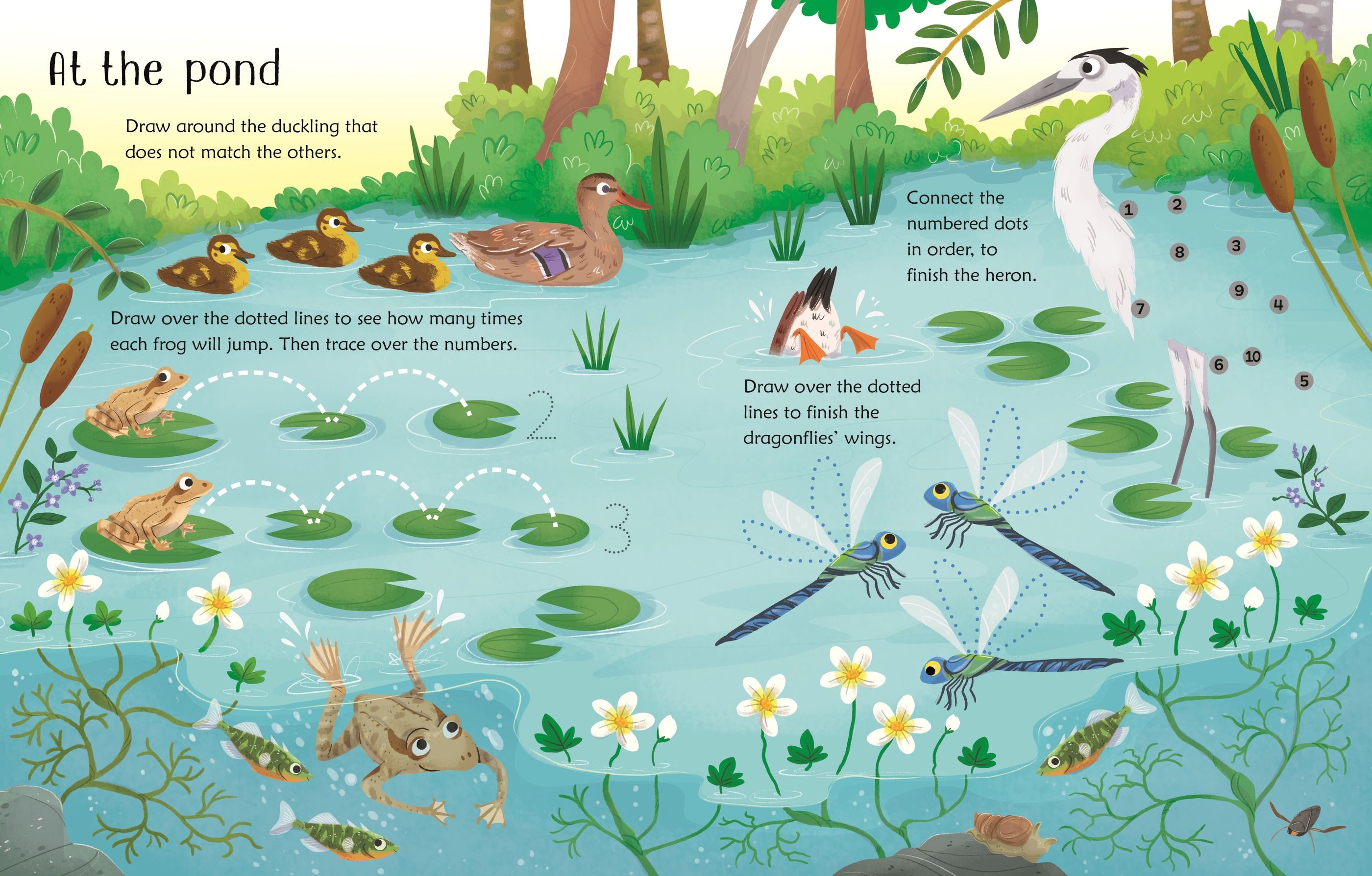 Wipe-clean Woodland activities