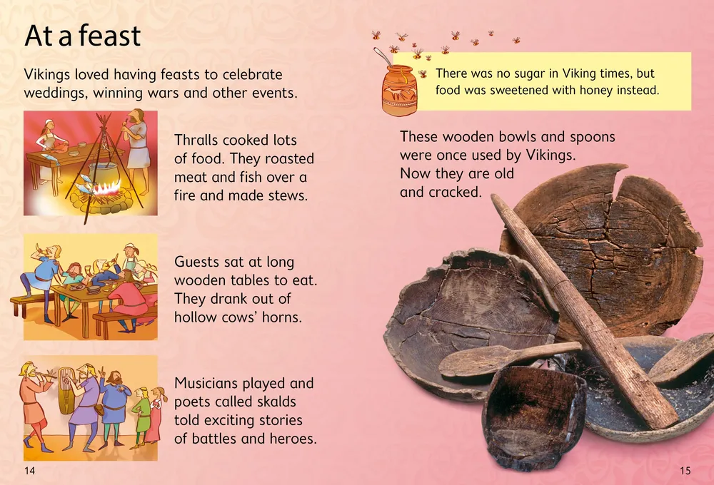 Beginners Vikings