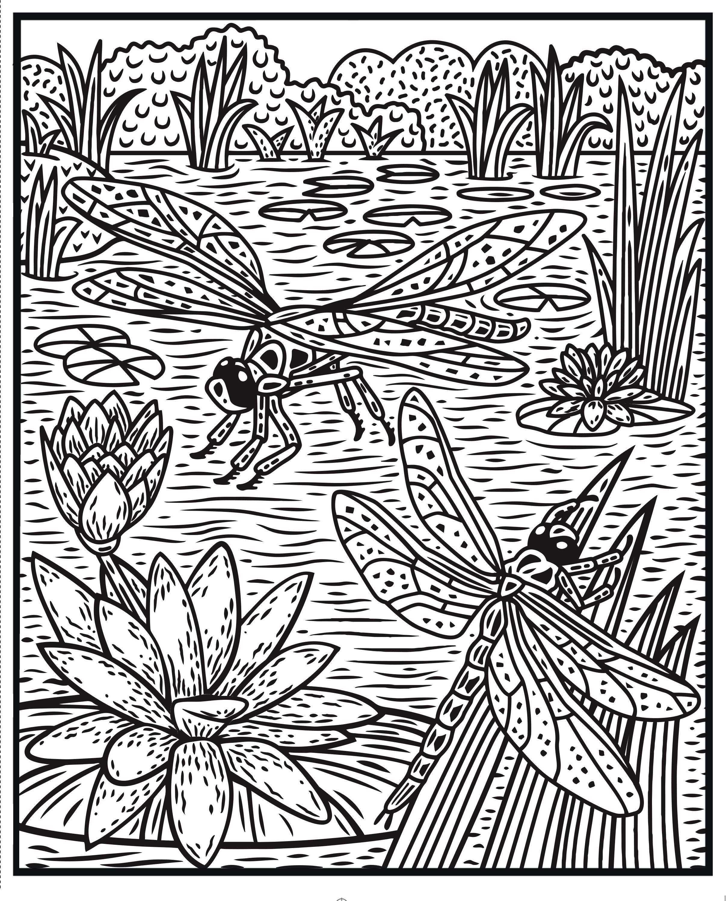 Magic painting book Bugs