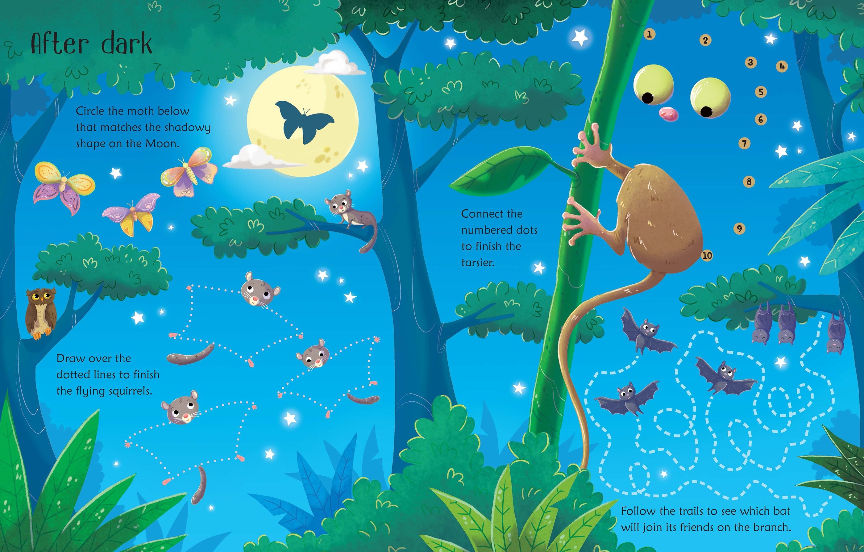 Wipe-clean Jungle activities