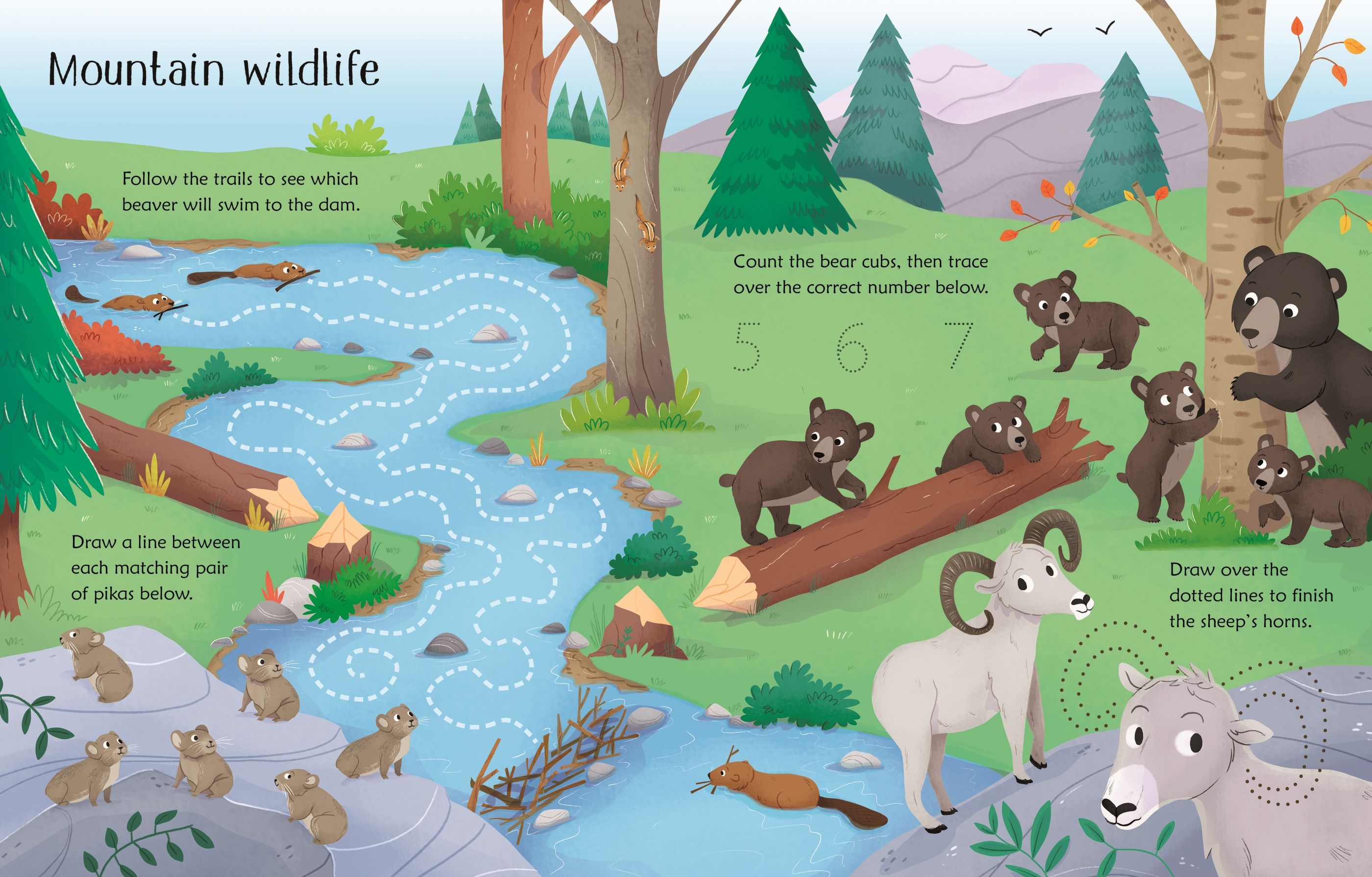 Wipe-clean Nature Activities