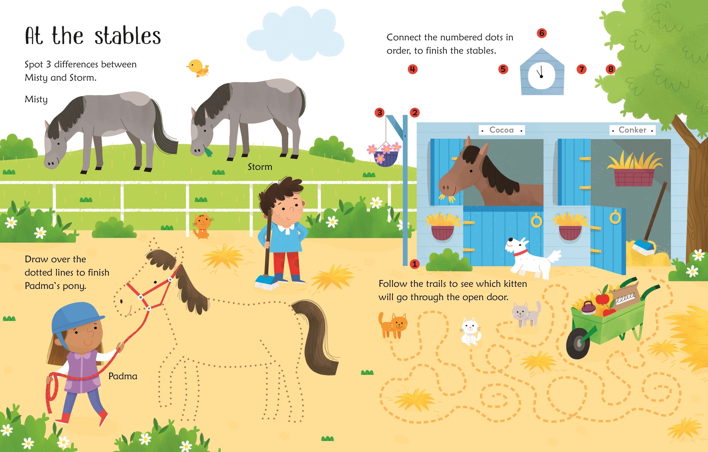 Wipe-clean Pet Activities