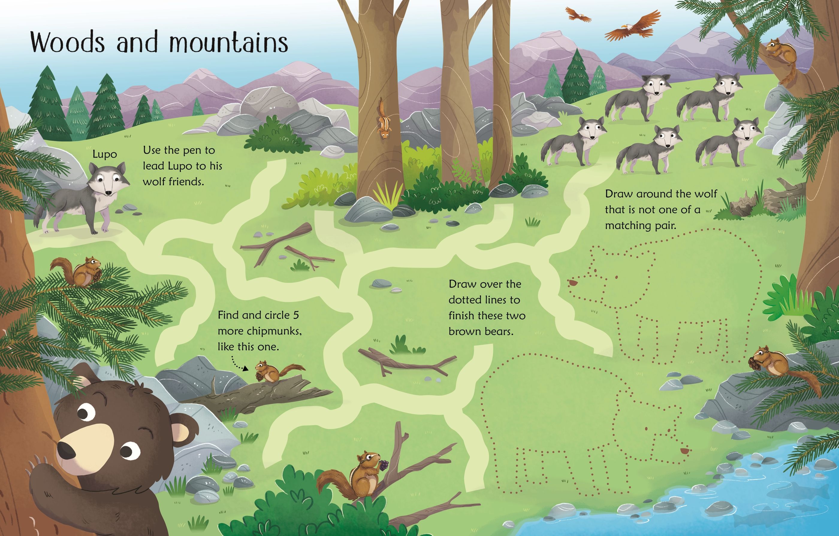 Wipe-clean Woodland activities