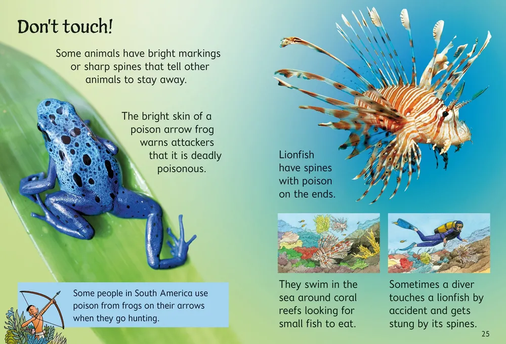 Beginners Dangerous Animals