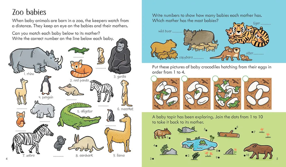 Little children´s Zoo activity book