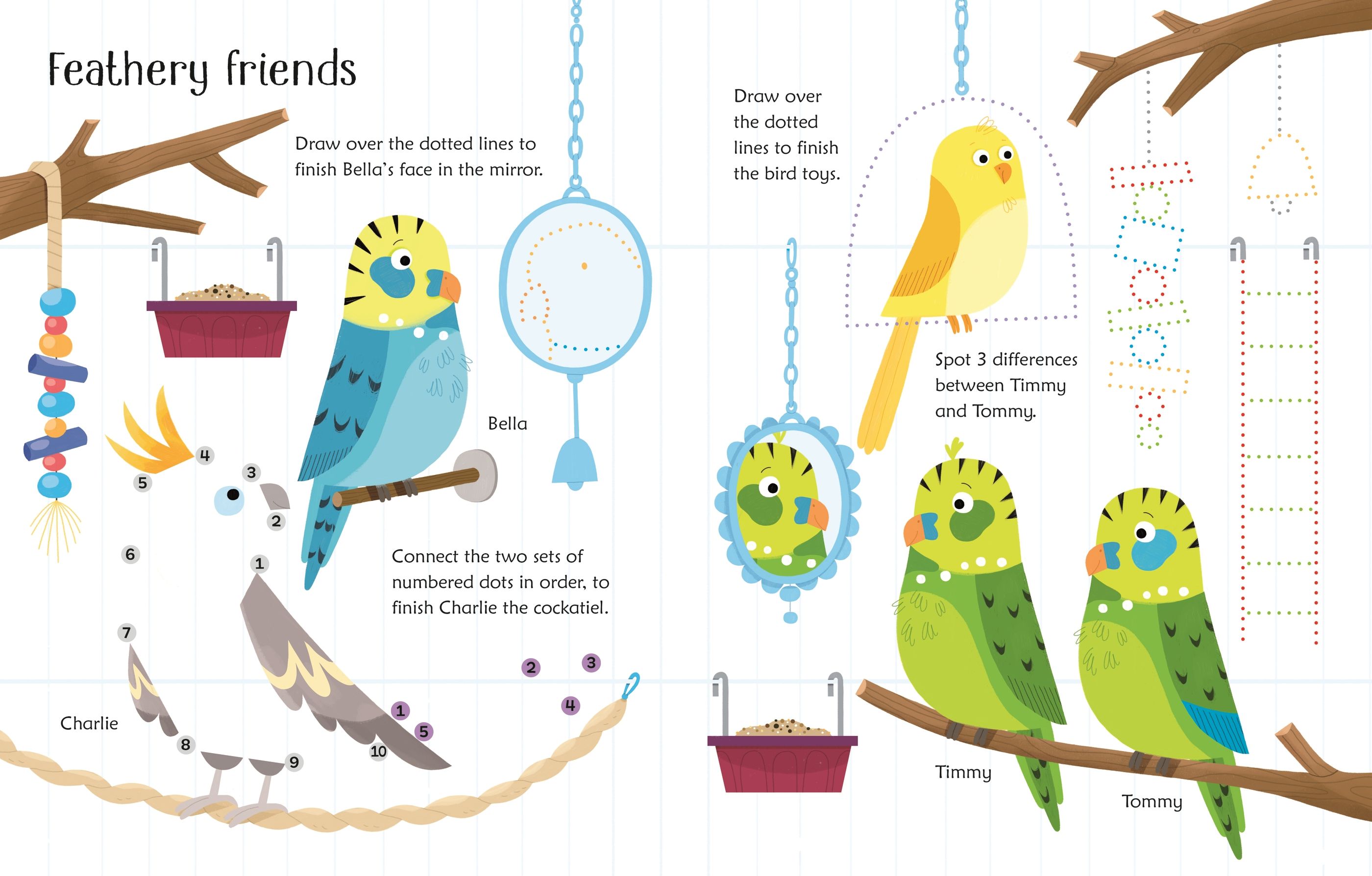 Wipe-clean Pet Activities