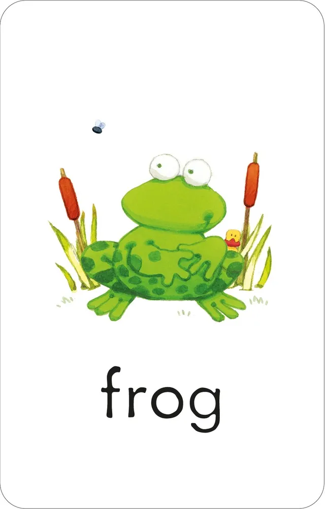 Poppy and sam flashcards first words