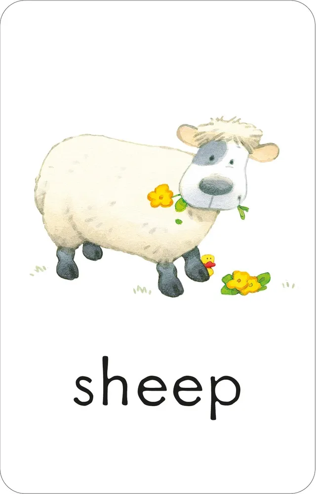 Poppy and sam flashcards first words