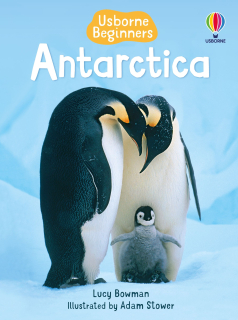 Beginners Anktartica