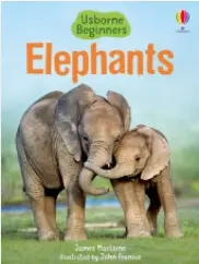 Beginners Elephants