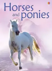 Beginners Horses and ponies