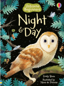 Beginners Night & day