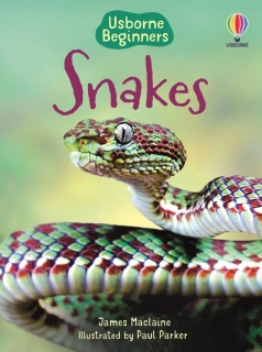 Beginners Snakes