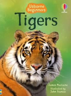 Beginners Tigers